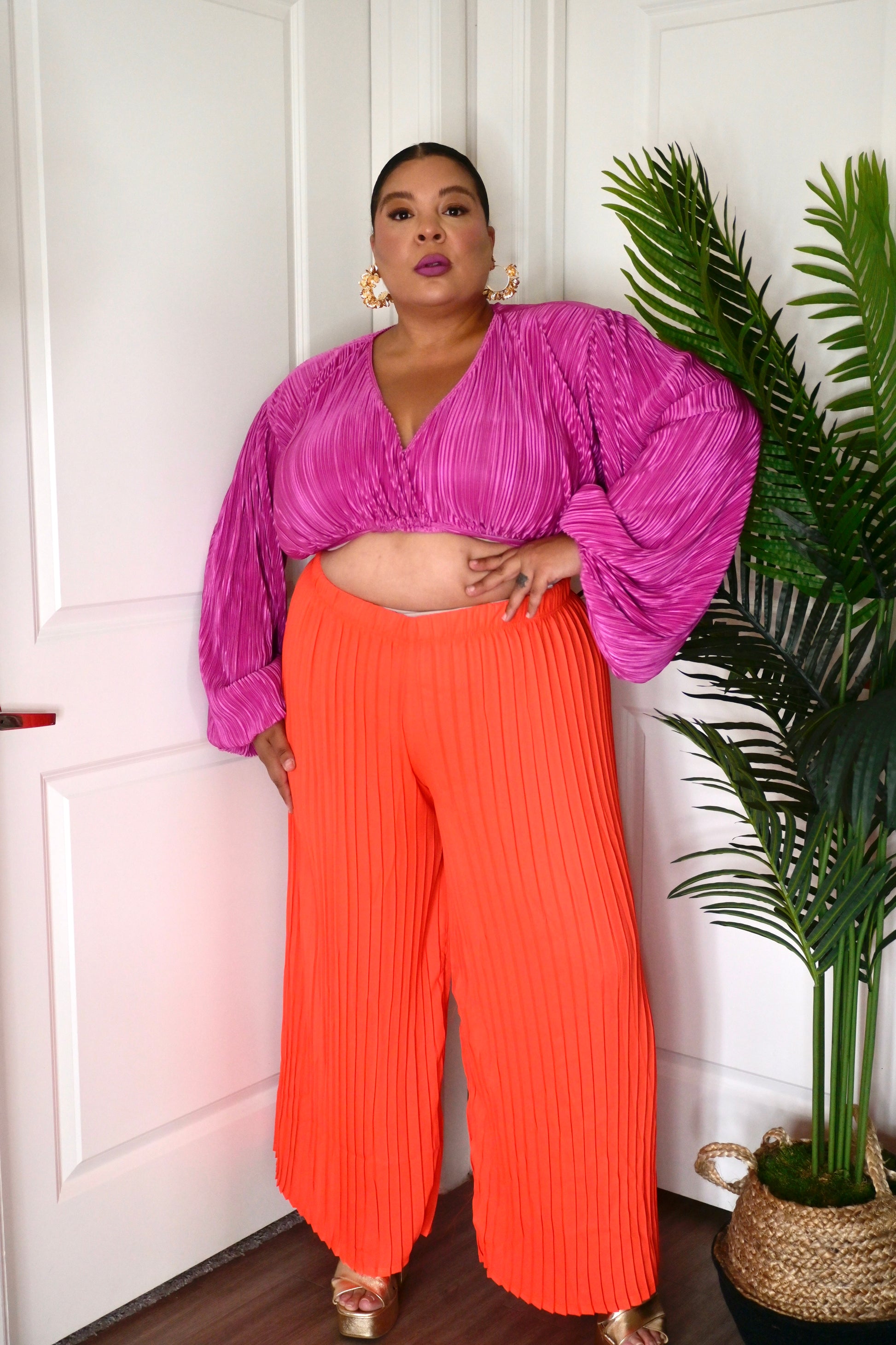 Niecey Palazzo Pant image 1