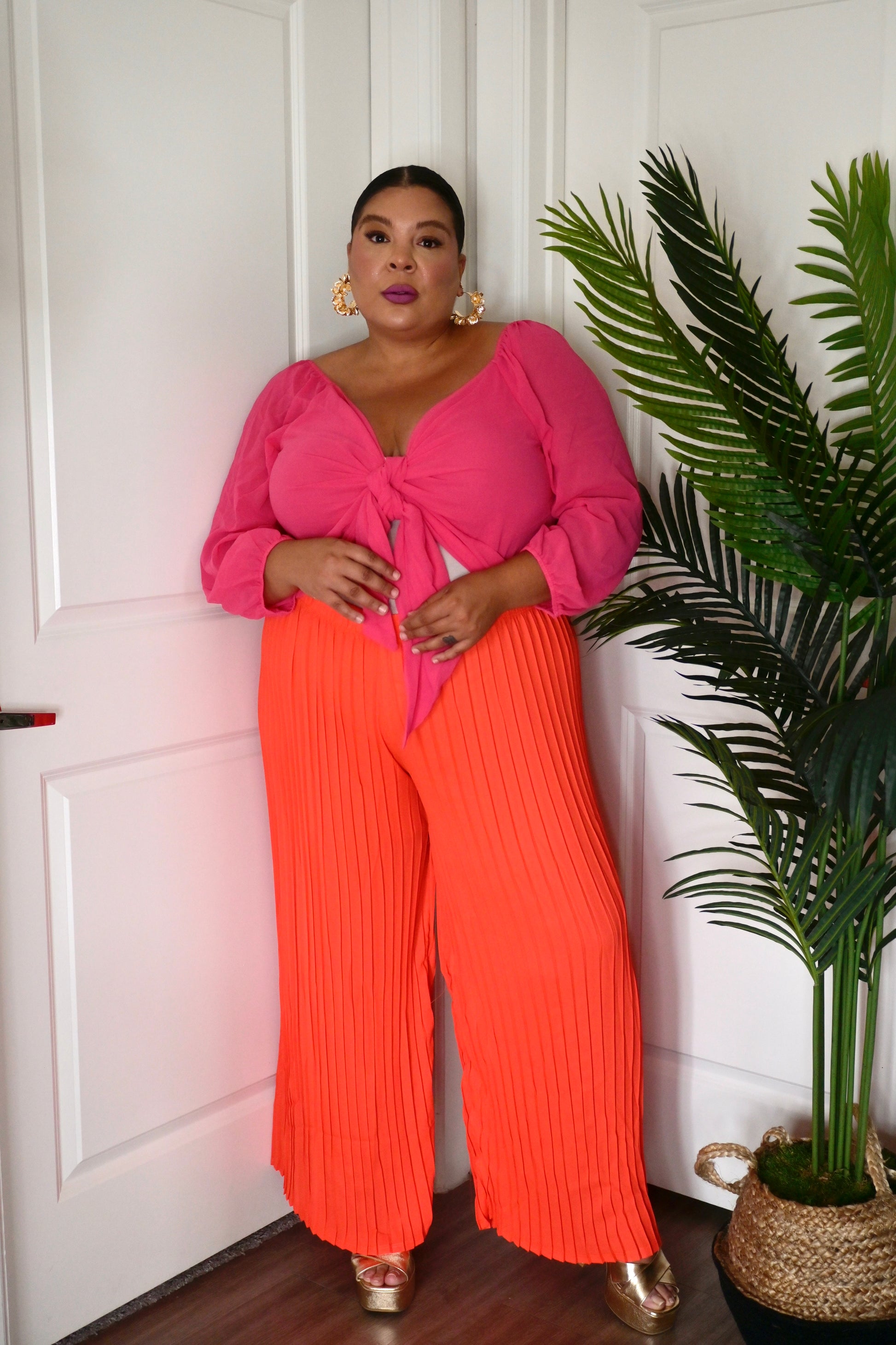 Niecey Palazzo Pant image 4